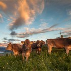 Schoene Aussichten Touristik_Zug Toursimus_Zugersee9